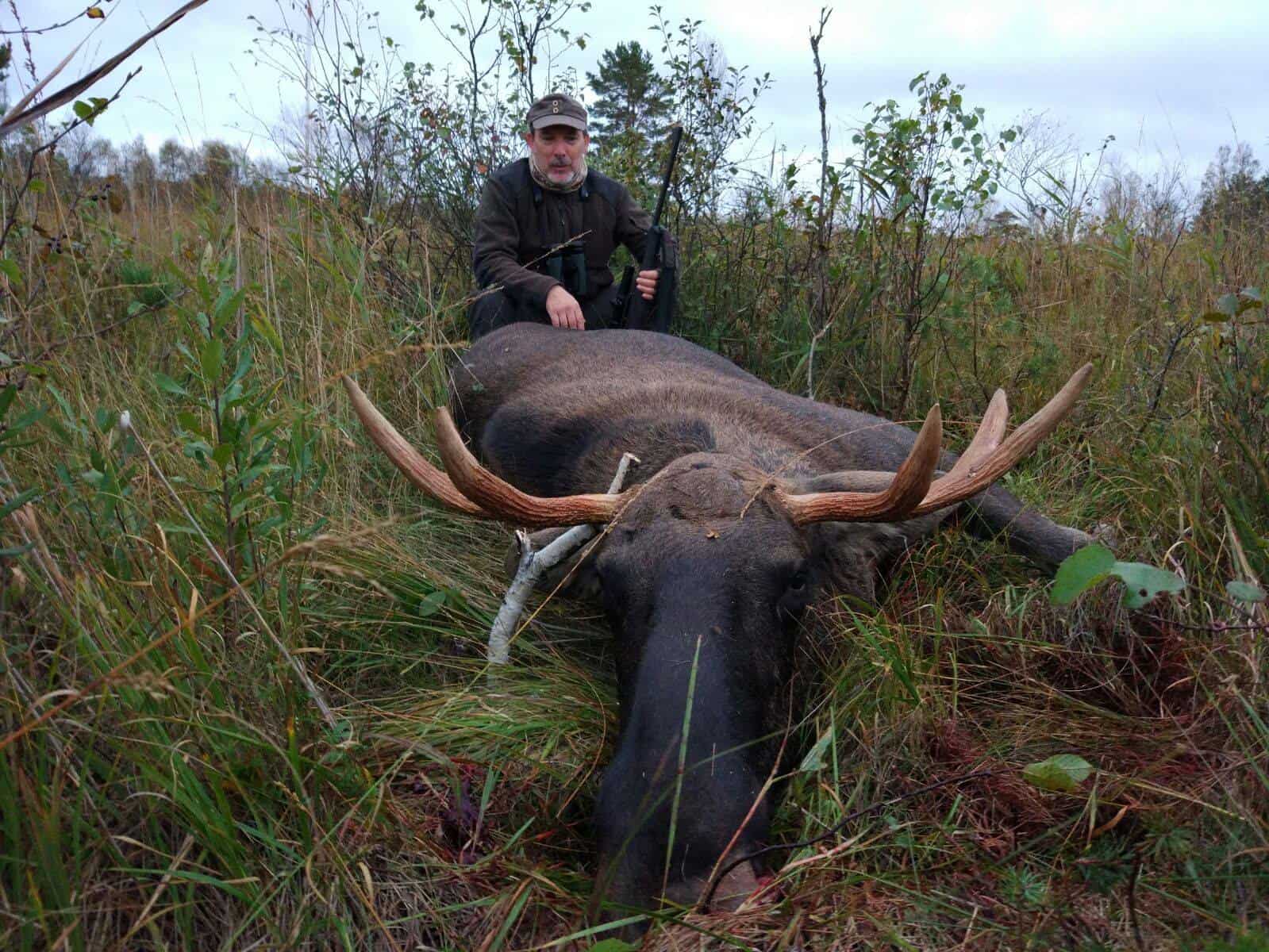 Moose hunting